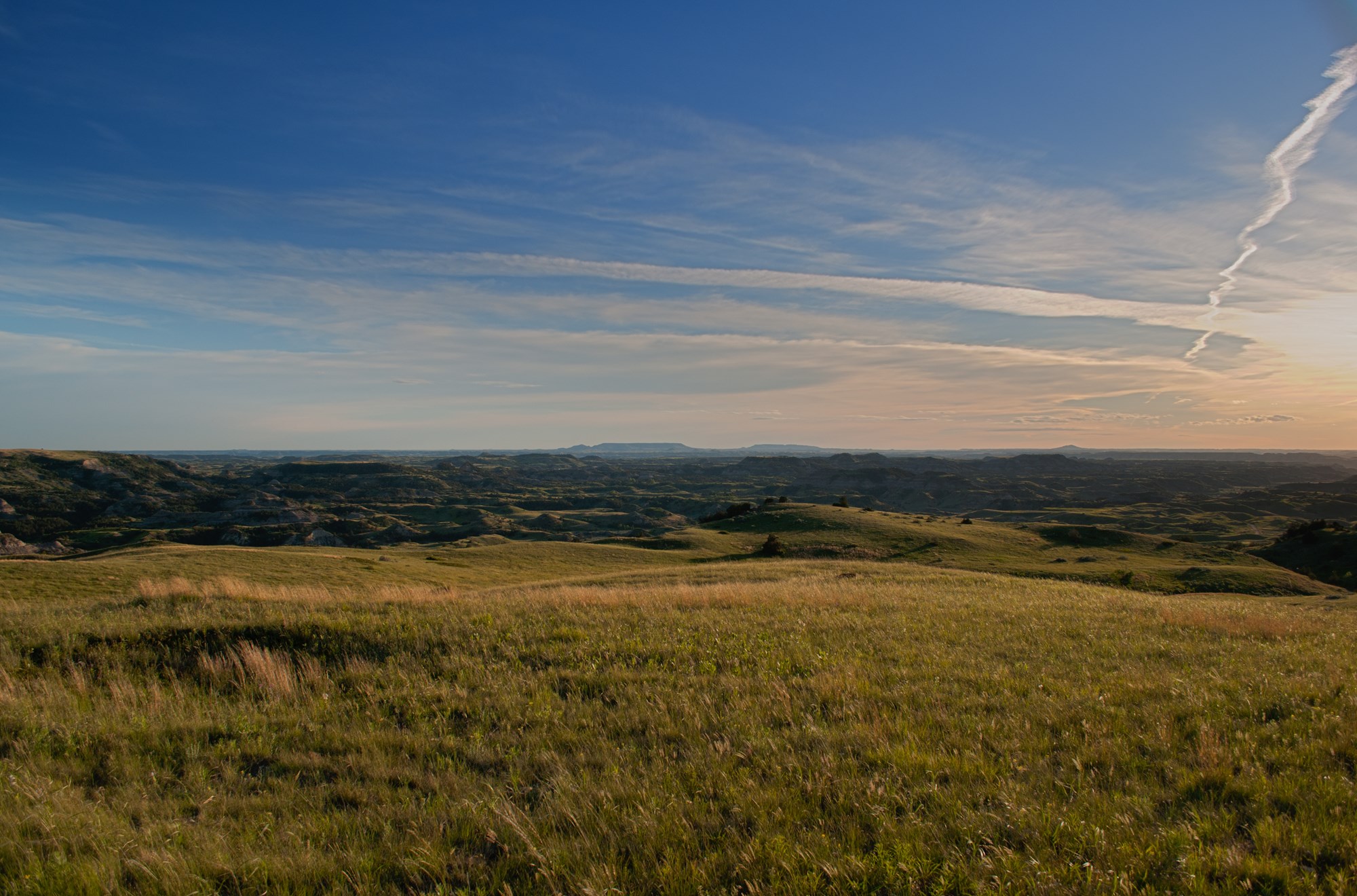 American landscape